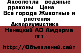 Аксолотли / водяные драконы › Цена ­ 500 - Все города Животные и растения » Аквариумистика   . Ненецкий АО,Амдерма пгт